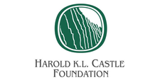Castle Foundation